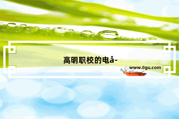 高明职校的电子商务主要学的是什么的