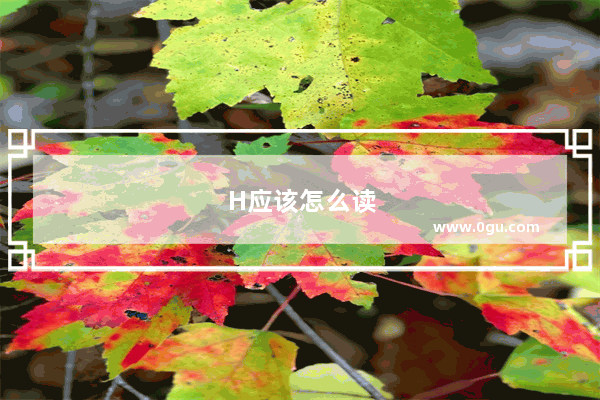 H应该怎么读