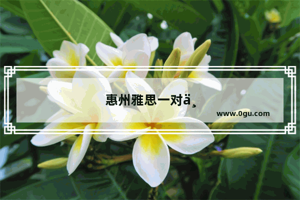 惠州雅思一对一