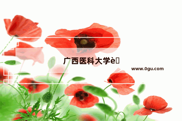 广西医科大学英语专业好不好