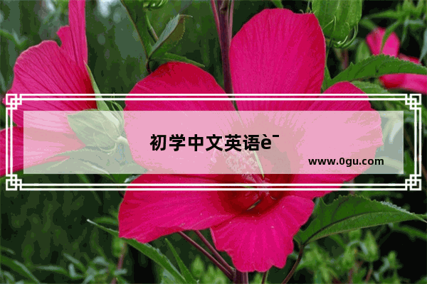 初学中文英语语法有哪些