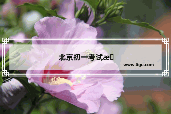 北京初一考试总分多少