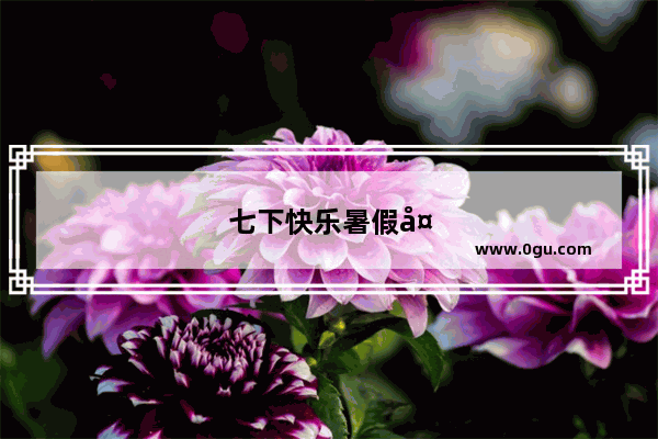 七下快乐暑假天天练答案
