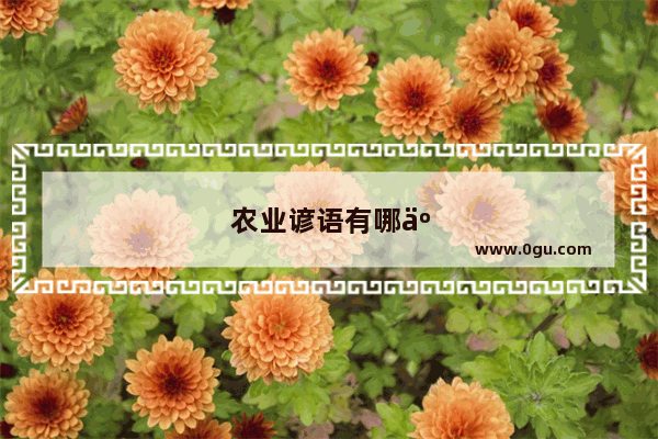 农业谚语有哪些
