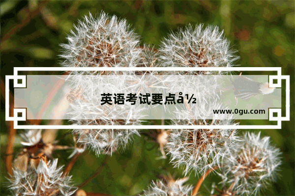 英语考试要点归纳