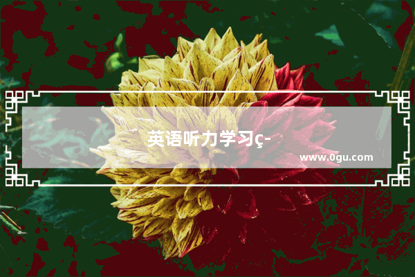 英语听力学习策略个案研究