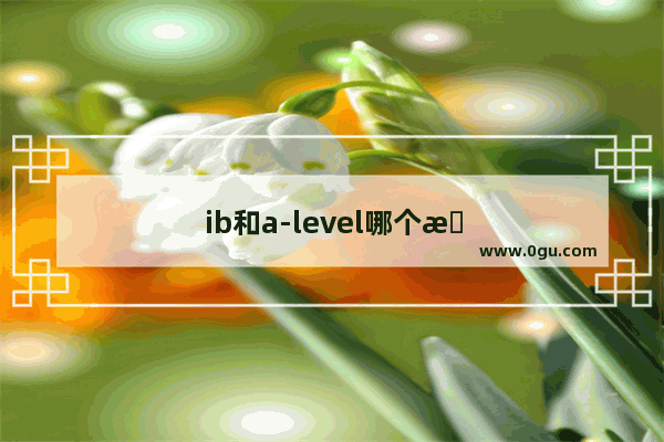 ib和a-level哪个更容易申请香港名校