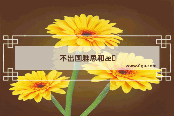 不出国雅思和托福哪个更实用