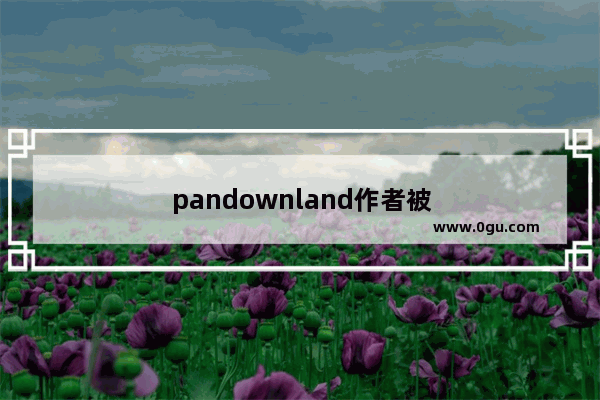 pandownland作者被抓 你怎么看