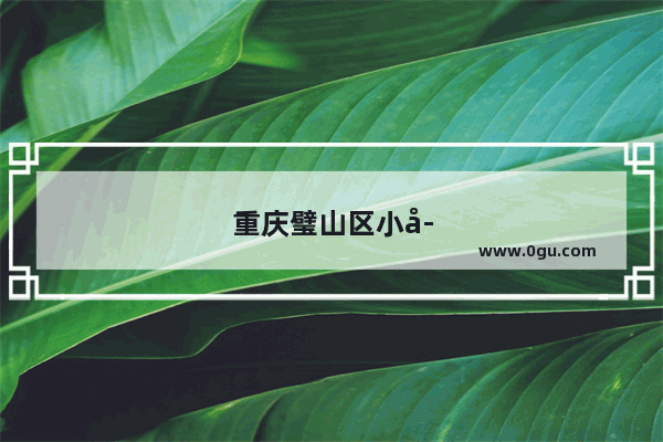 重庆璧山区小学英语报价