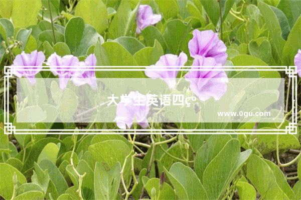 大学生英语四级含金量