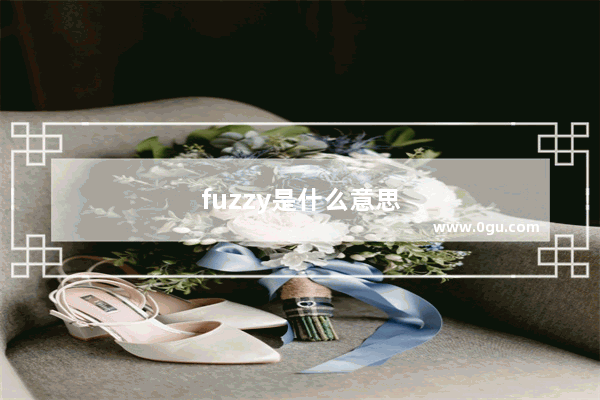 fuzzy是什么意思