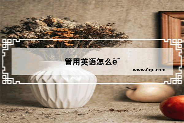 管用英语怎么读?