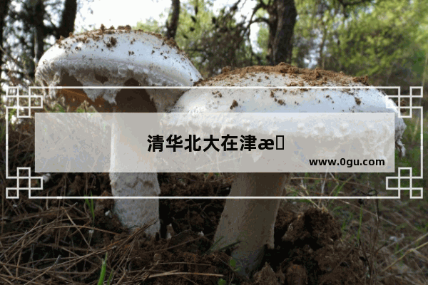 清华北大在津招生各校人数