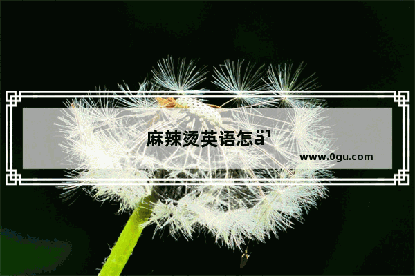 麻辣烫英语怎么说