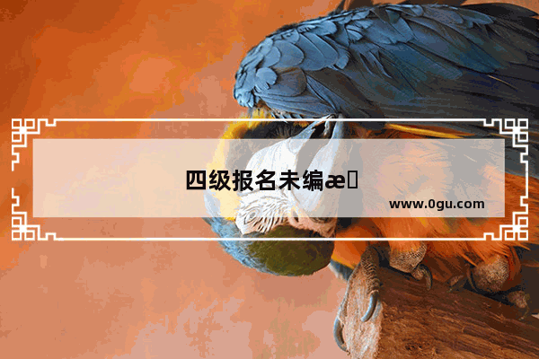 四级报名未编排是怎么回事