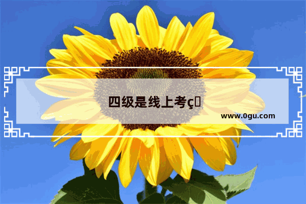 四级是线上考的吗