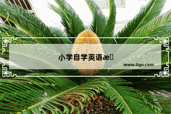 小学自学英语新概念教程
