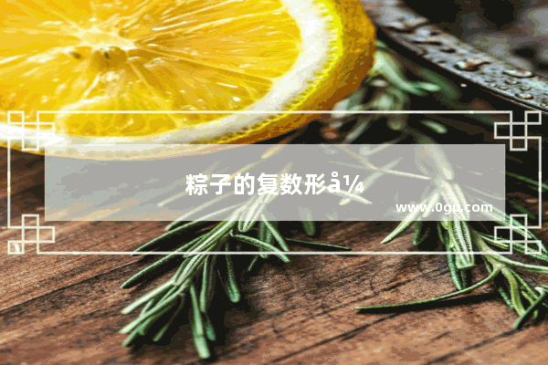 粽子的复数形式