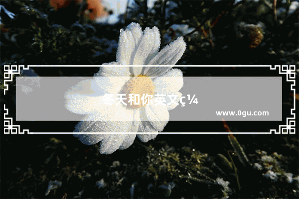 冬天和你英文缩写