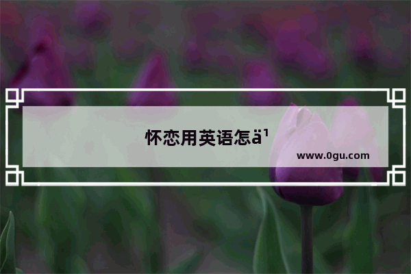 怀恋用英语怎么说