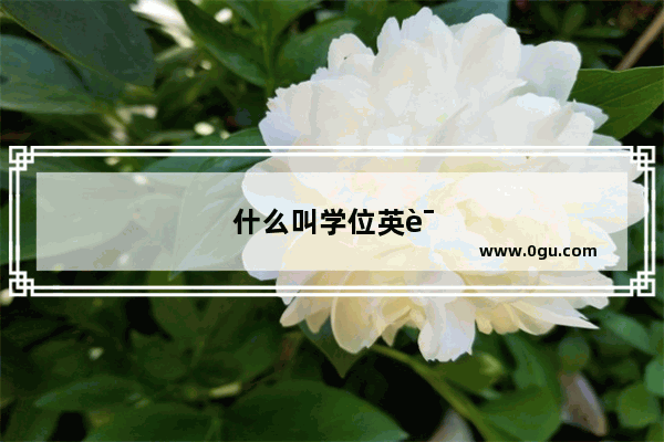 什么叫学位英语