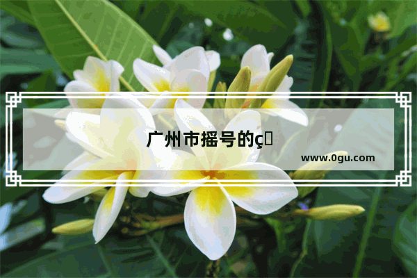 广州市摇号的申请编码忘记了怎样查询