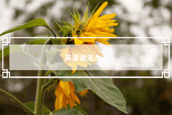 英语语法九上