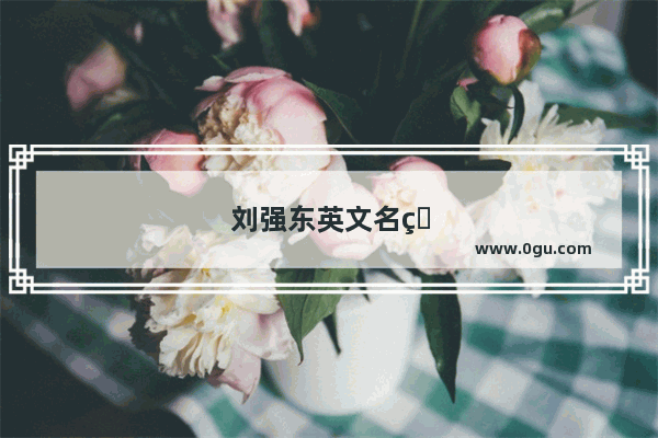 刘强东英文名的含义