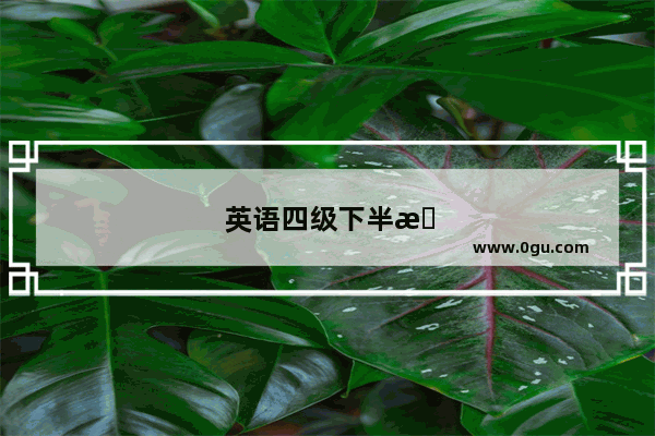 英语四级下半月期再有机会可以报名吗
