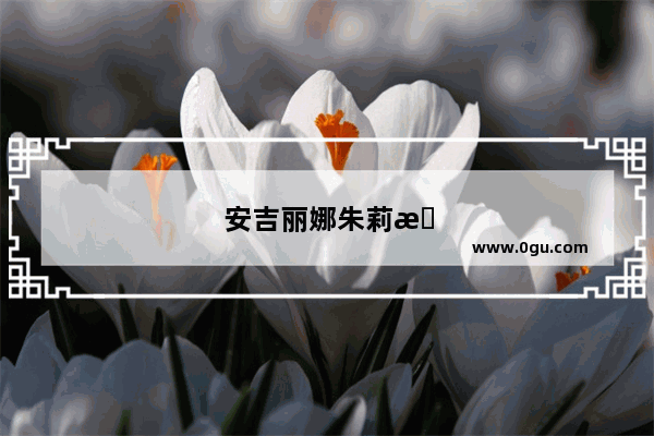 安吉丽娜朱莉最新演讲中英对照