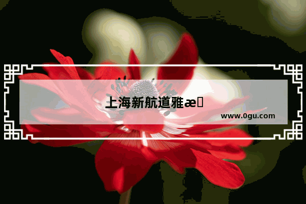 上海新航道雅思暑期班招聘