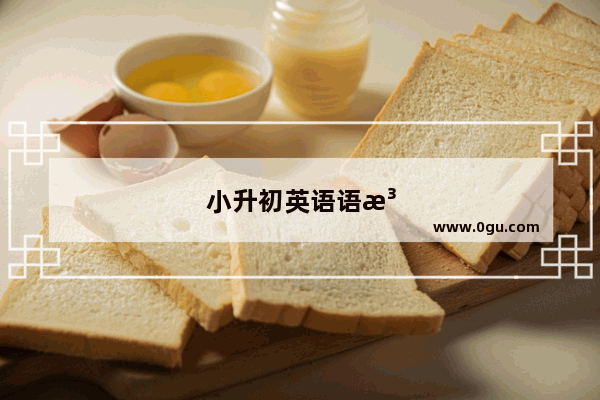 小升初英语语法专题