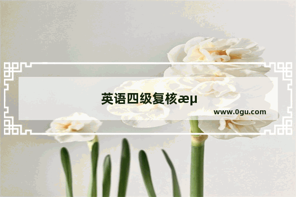 英语四级复核流程