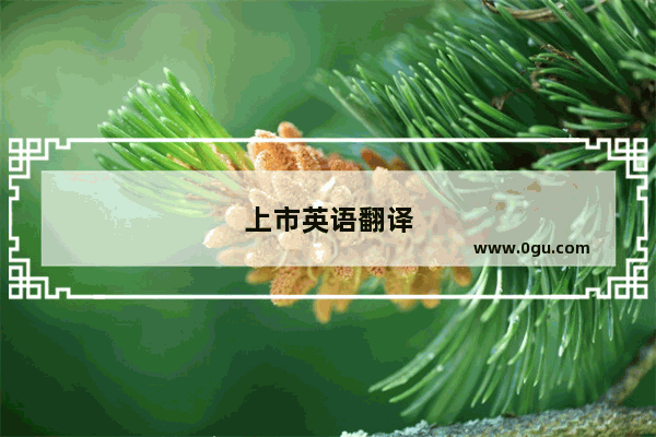 上市英语翻译