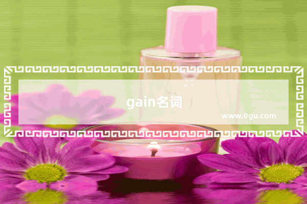 gain名词