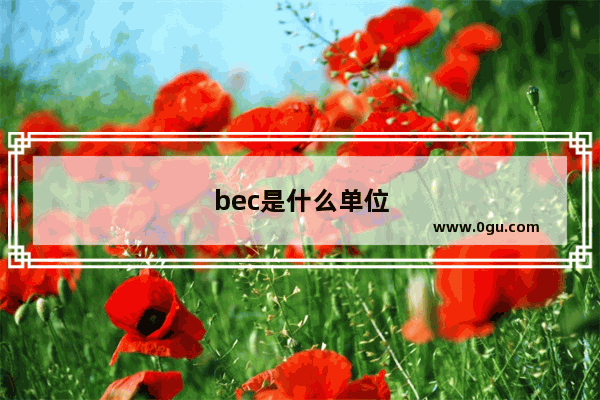 bec是什么单位