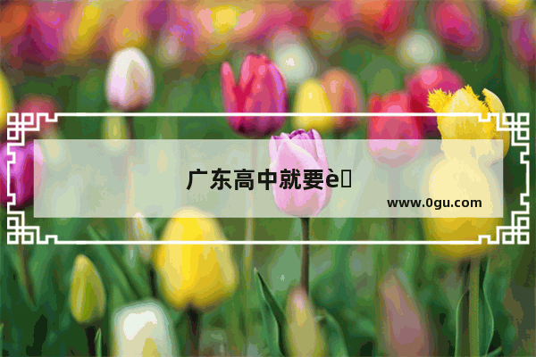 广东高中就要考英语四级吗
