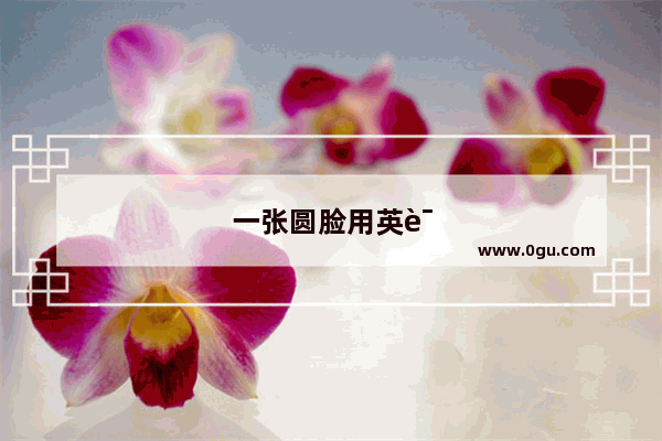 一张圆脸用英语怎么说
