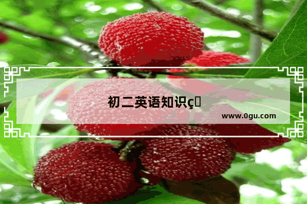 初二英语知识点总结