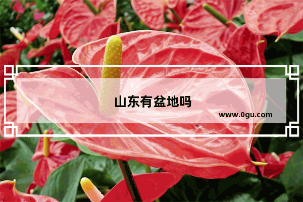 山东有盆地吗