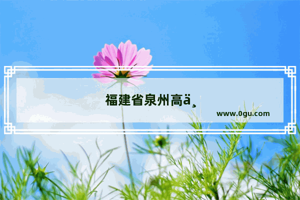 福建省泉州高中教材版本