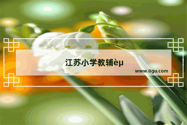 江苏小学教辅资料排行