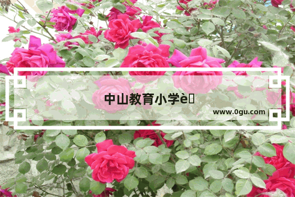 中山教育小学英语说课视频