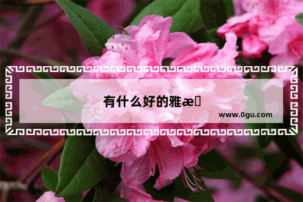 有什么好的雅思备考攻略呢