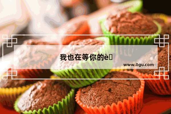 我也在等你的英语听力原文
