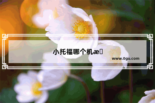 小托福哪个机构比较好