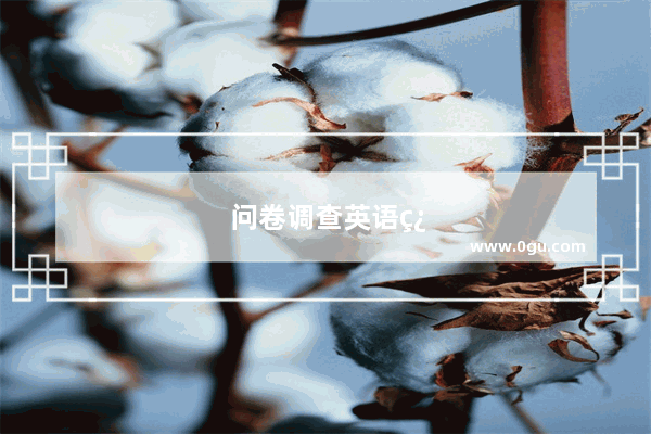 问卷调查英语翻译