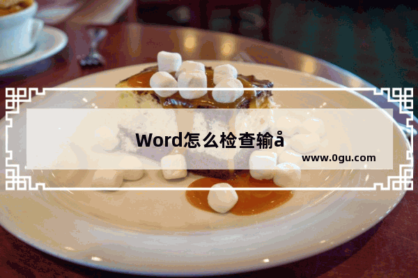 Word怎么检查输入英文单词拼写错误