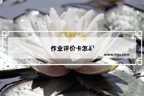 作业评价卡怎么填写